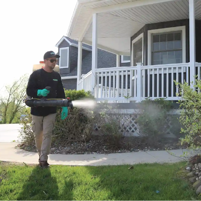 insecticide treatments