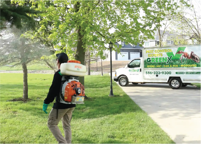 home pest control packages